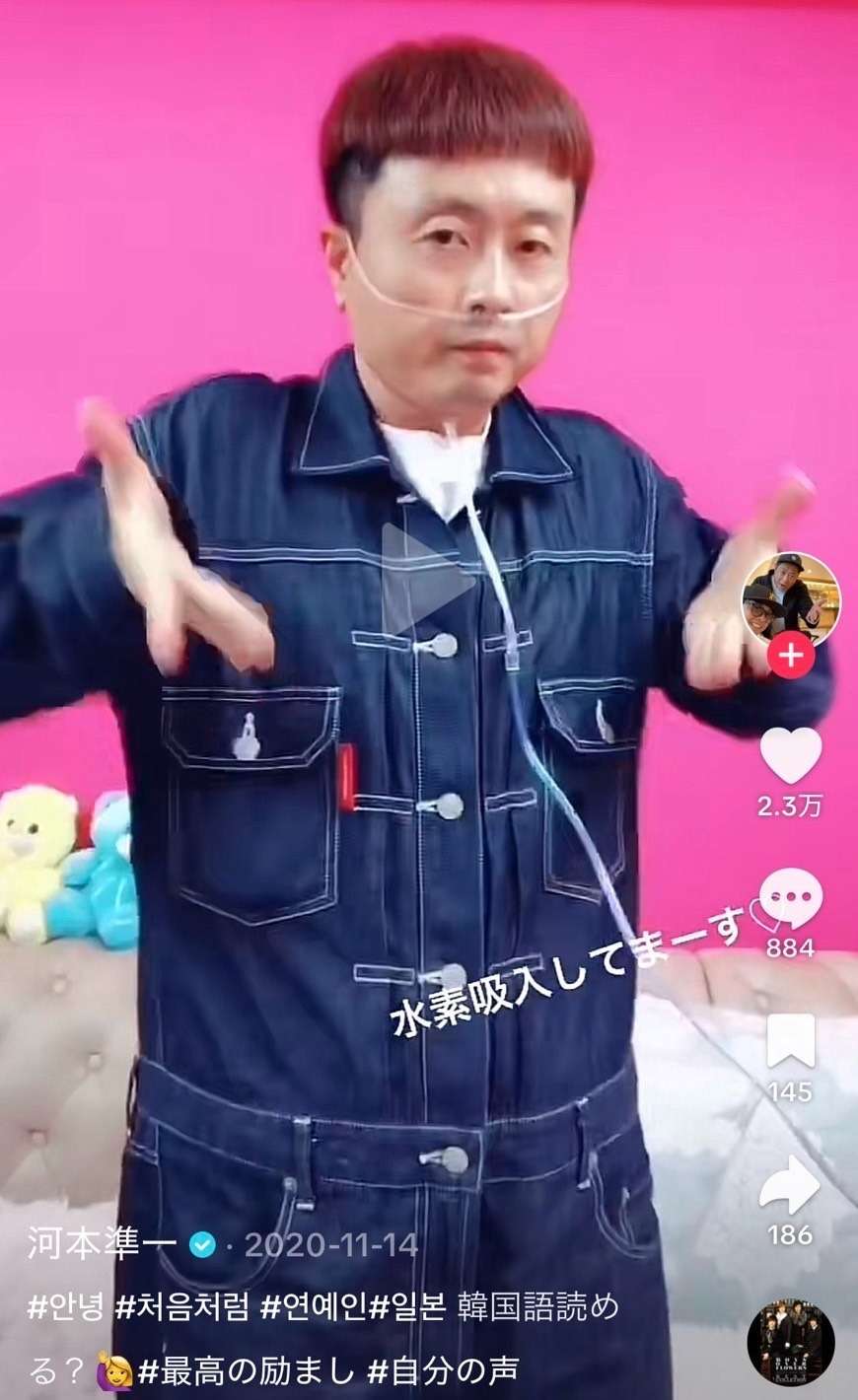 活動歴および当時の関連ビジュアル記録
