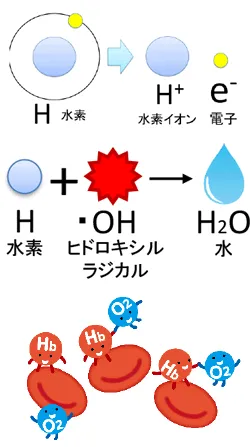 H2とHHOの違いとは？